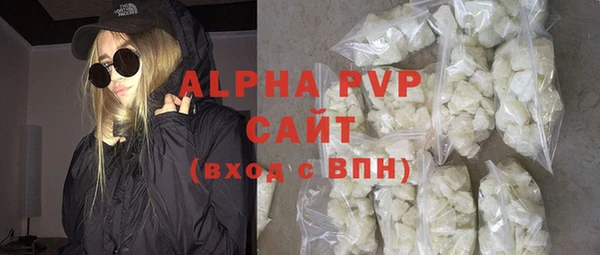 крисы Козельск