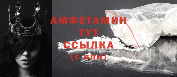 крисы Козельск
