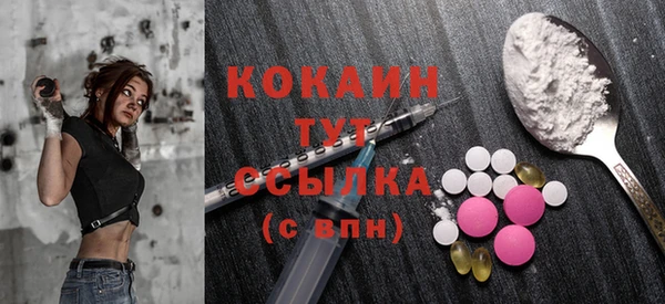 крисы Козельск