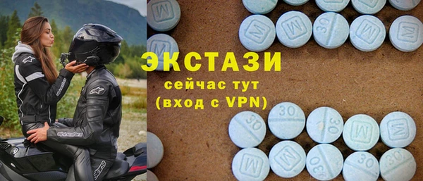 крисы Козельск