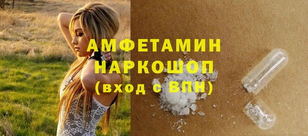 крисы Козельск