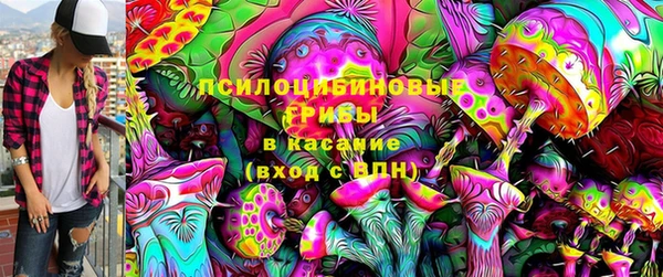эйфоретик Козловка