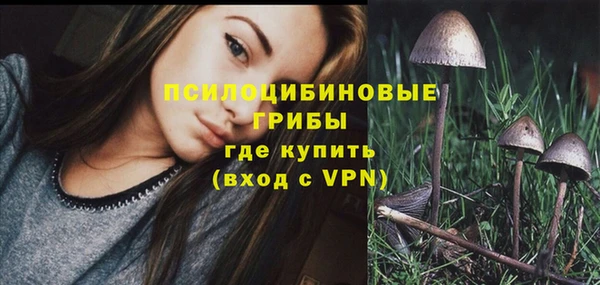 гидропоника Кодинск