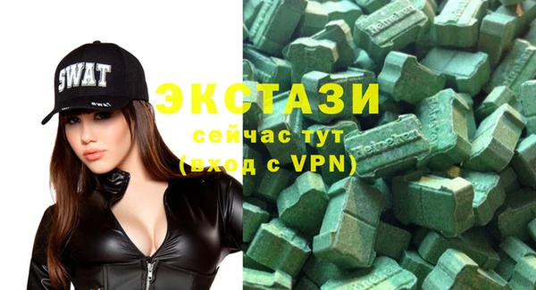 крисы Козельск
