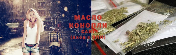 крисы Козельск