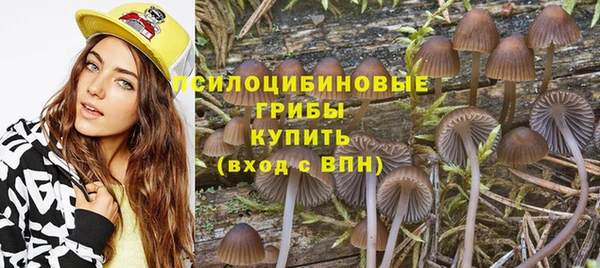 крисы Козельск