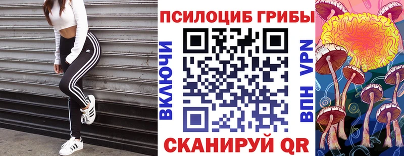 OMG как зайти  Санкт-Петербург  Галлюциногенные грибы прущие грибы  где купить наркотик 